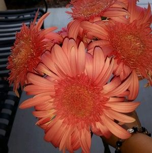 Meet your Posher, Nadia